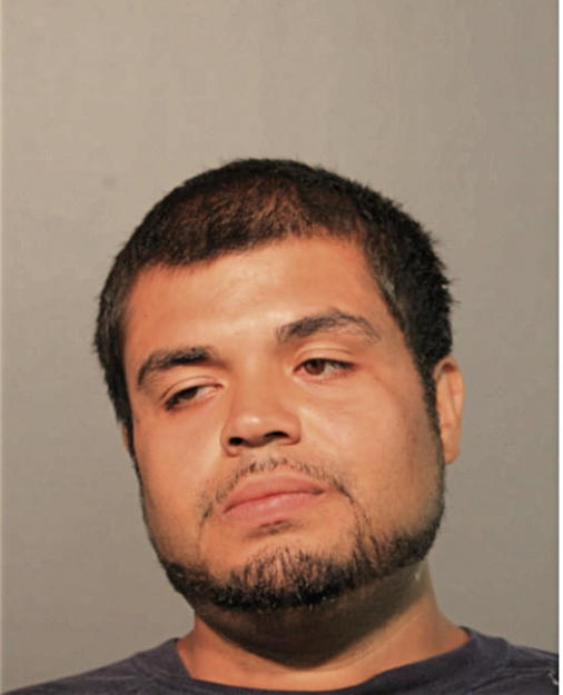 GEORGE A RIVERA, Cook County, Illinois