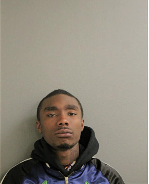 MAURICE L ROBINSON, Cook County, Illinois