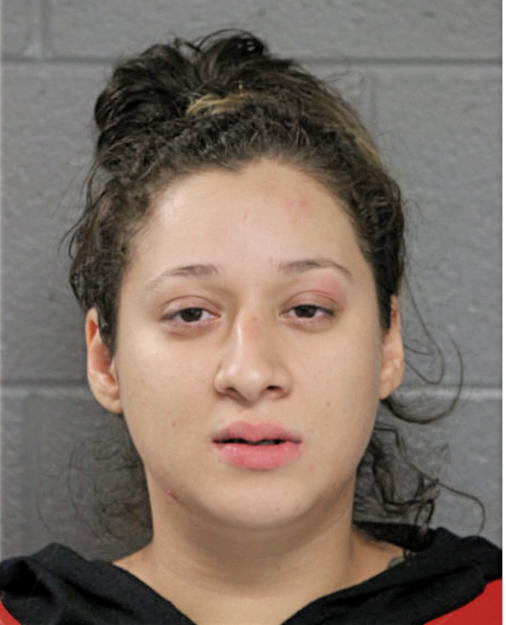 CHRISTINA G RODRIGUEZ, Cook County, Illinois