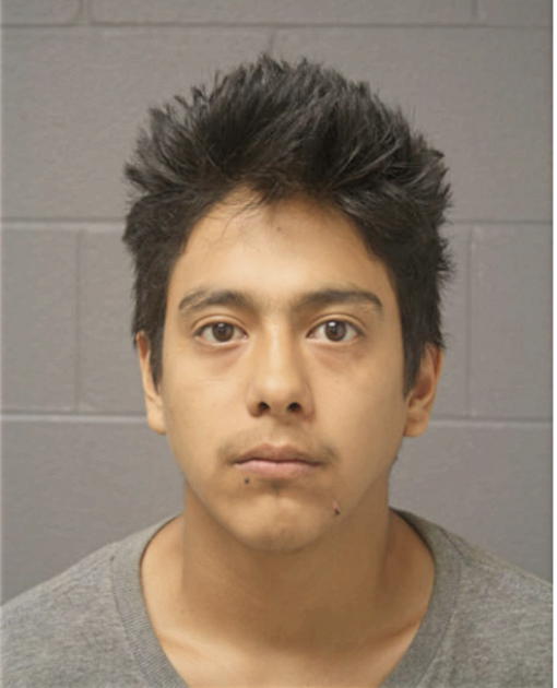 IVAN B RUIZ, Cook County, Illinois