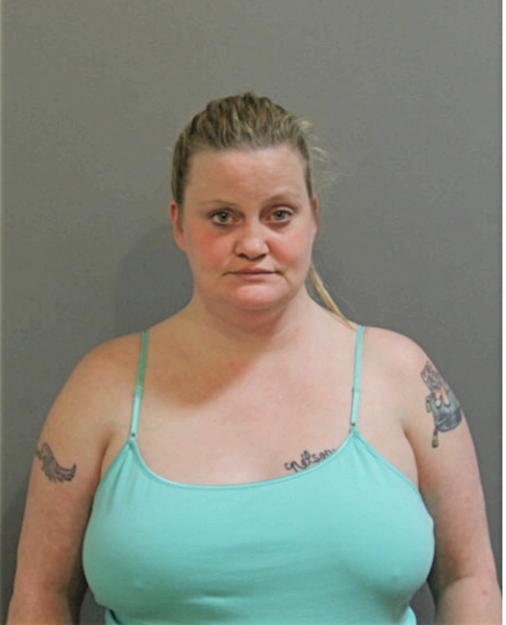 MELISSA DIANE VINCENT KASNER, Cook County, Illinois