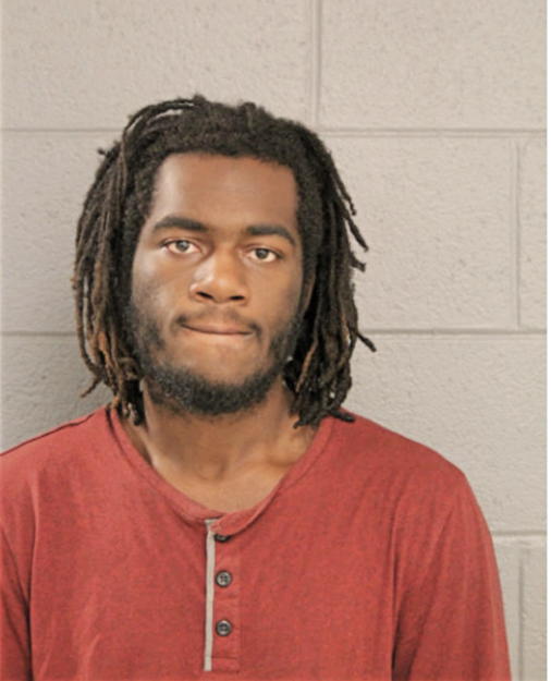 GREGORY T WILSON, Cook County, Illinois
