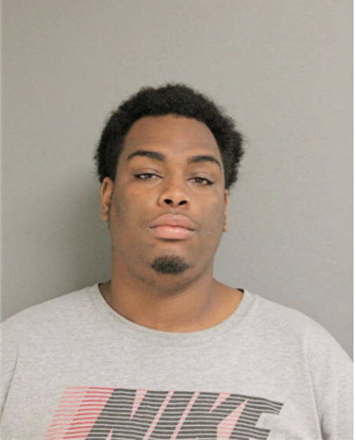 ANTHONY E ANDERSON, Cook County, Illinois
