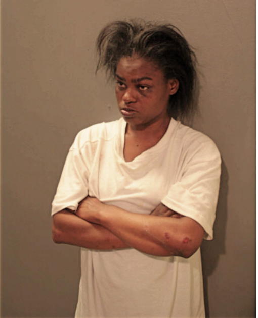 AMANDA L BROWN, Cook County, Illinois