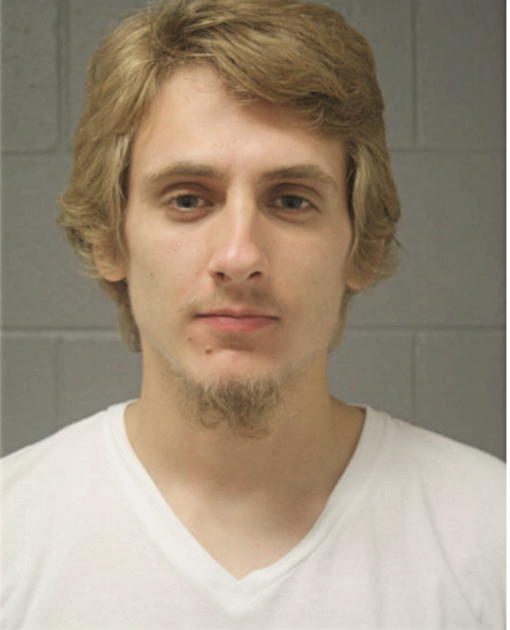 SEBASTIAN P CHMENIA, Cook County, Illinois
