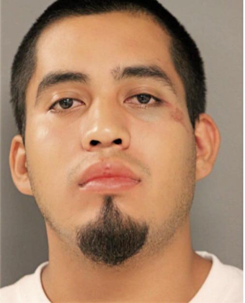 EDWIN DOMINGUEZ, Cook County, Illinois