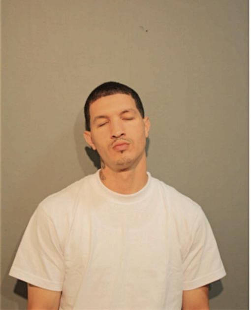 ARNOLD T ERYCK, Cook County, Illinois
