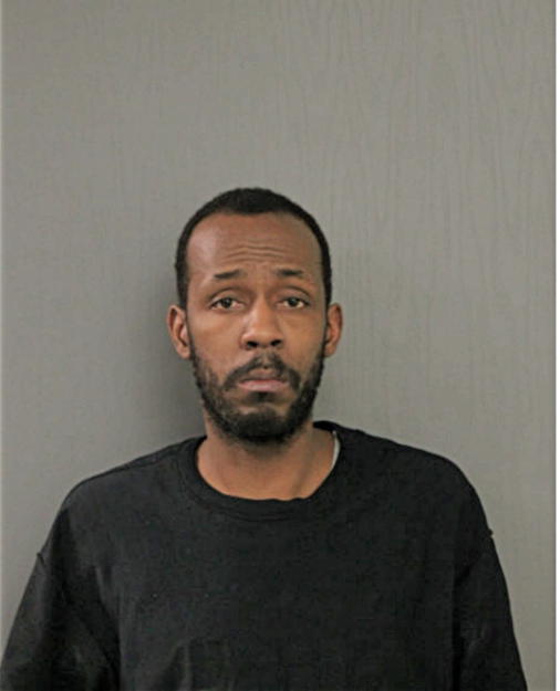 BRANDON J FLYNN, Cook County, Illinois