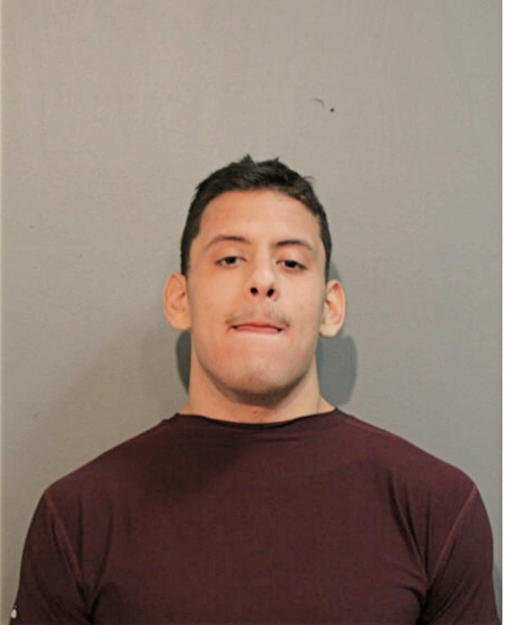 RICARDO GARIBAY, Cook County, Illinois