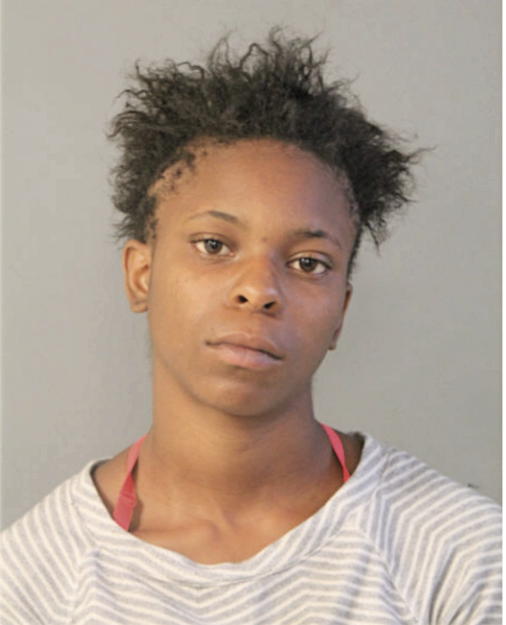 DIONNA M GOODWIN, Cook County, Illinois