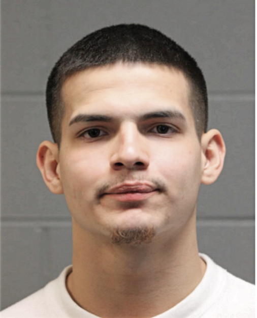 JOSEPH HEINS, Cook County, Illinois