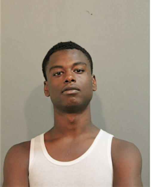 CHRISTOPHER D HIBBLER, Cook County, Illinois