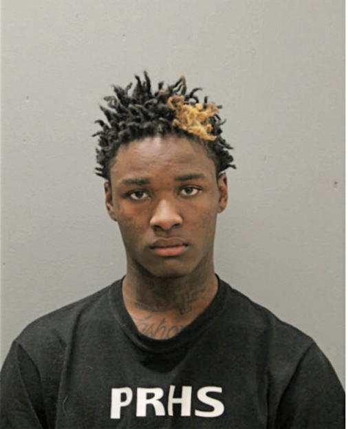 LATROY L HODGES, Cook County, Illinois