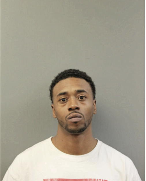 MICHAEL J NORWOOD, Cook County, Illinois