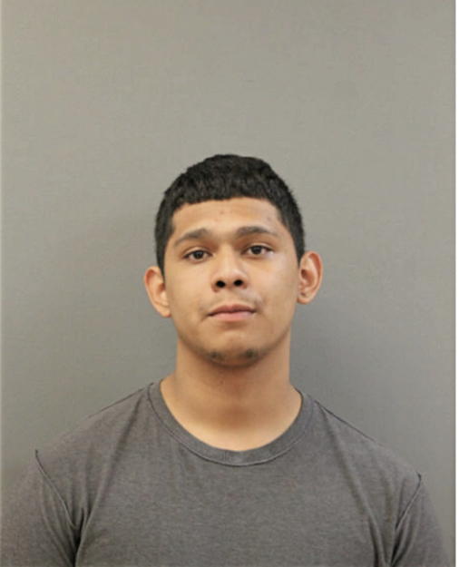 KONY RODRIGUEZ, Cook County, Illinois