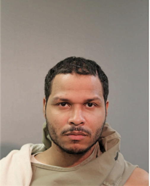 CHRISTOPHER D SAGO, Cook County, Illinois