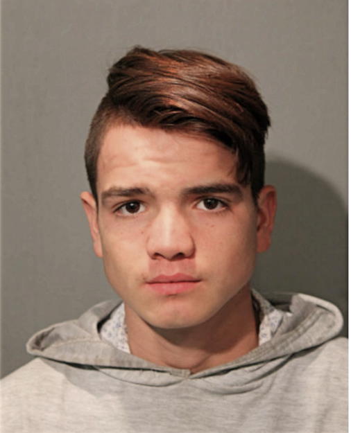 ERIC ULLOA, Cook County, Illinois