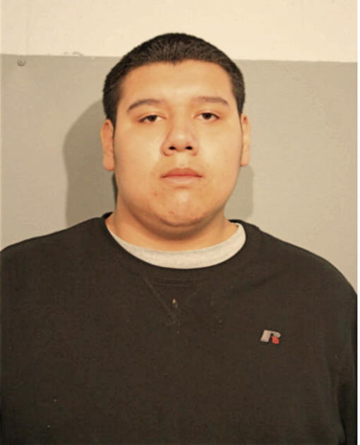 JOSE L VANEGAS-FLORES, Cook County, Illinois