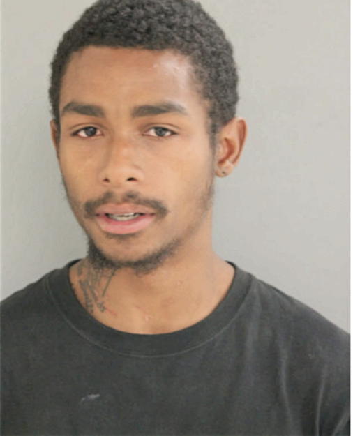 CARL A VENEY, Cook County, Illinois