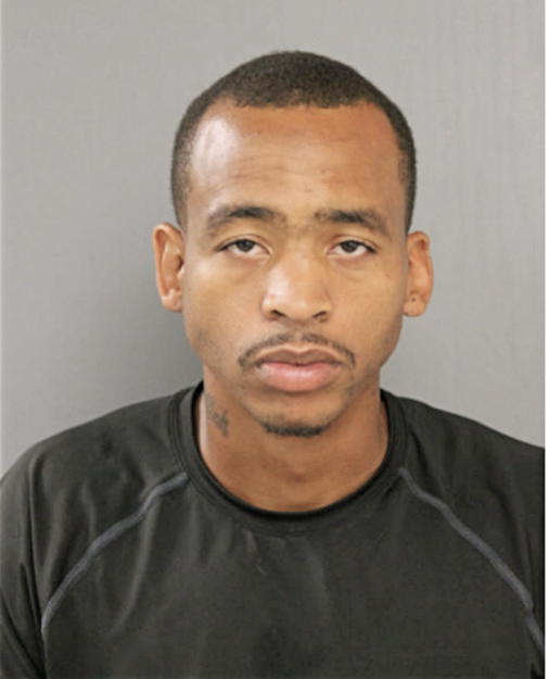 WILLIAM L YOUNG, Cook County, Illinois