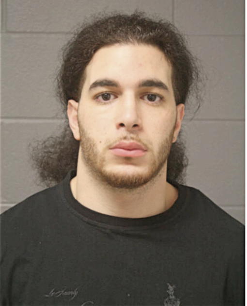 SHAREF M ABDELHAMED, Cook County, Illinois