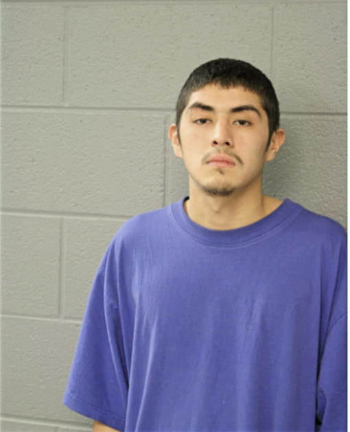 JOSE ABEJA, Cook County, Illinois