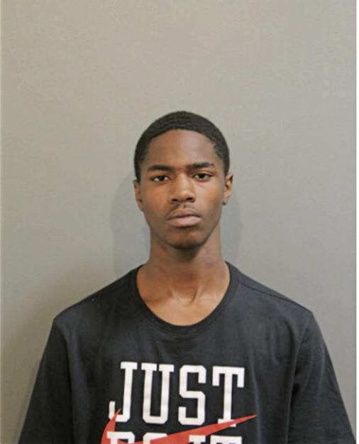 MATTHEW J BATES, Cook County, Illinois
