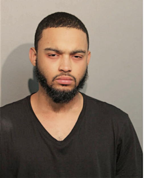 FRANKIE R BURGOS, Cook County, Illinois