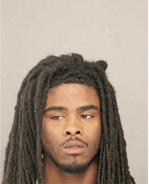 LEE D CAMERON, Cook County, Illinois