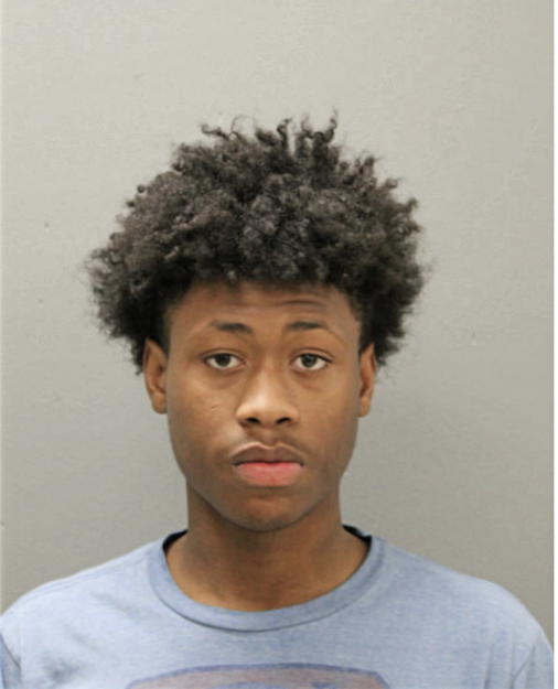 DEWAYNE S ELLIOT, Cook County, Illinois