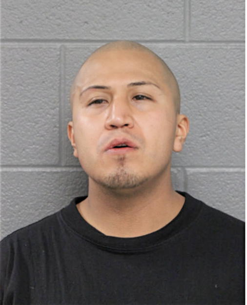 REYNALDO GOMEZ, Cook County, Illinois
