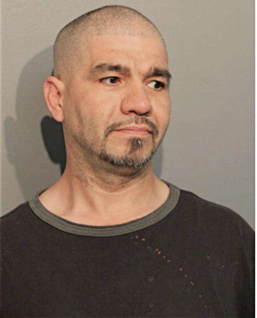 RAFAEL J GUZMAN, Cook County, Illinois