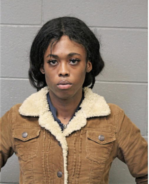 NKOSI N HAMPTON, Cook County, Illinois