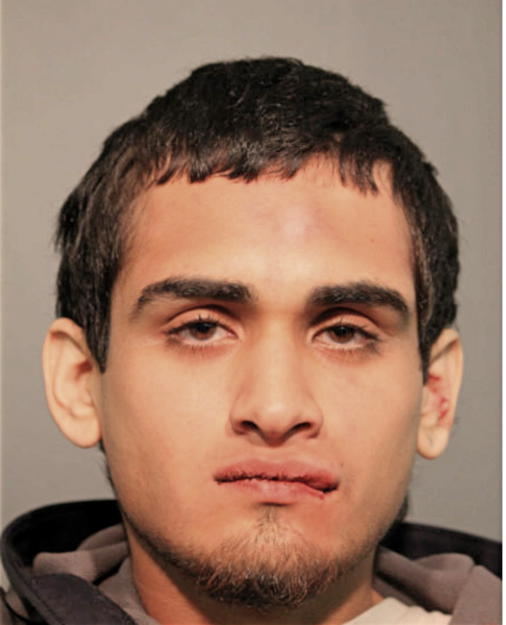 ANDRES MIRELES, Cook County, Illinois