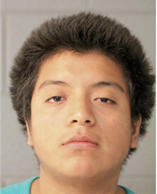 LOUIS A PALOMARES, Cook County, Illinois