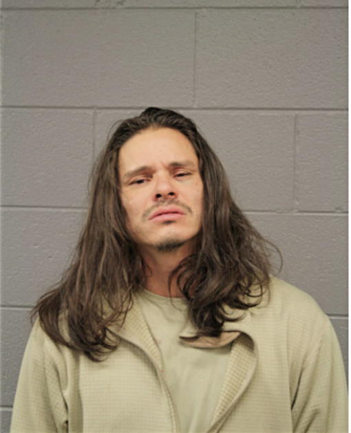 ROBERT P REYES, Cook County, Illinois