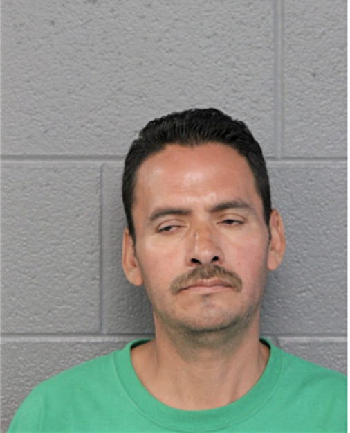 AMADOR REYNA, Cook County, Illinois
