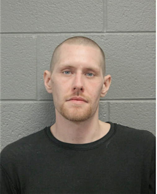 THOMAS H SCHADEBERG, Cook County, Illinois