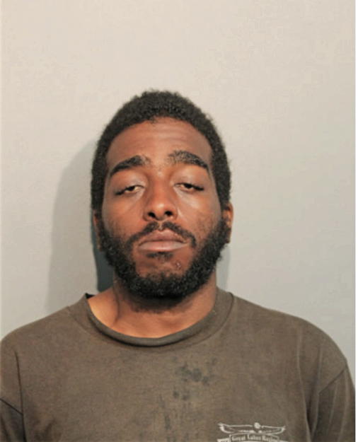 BRANDON C TAYLOR, Cook County, Illinois