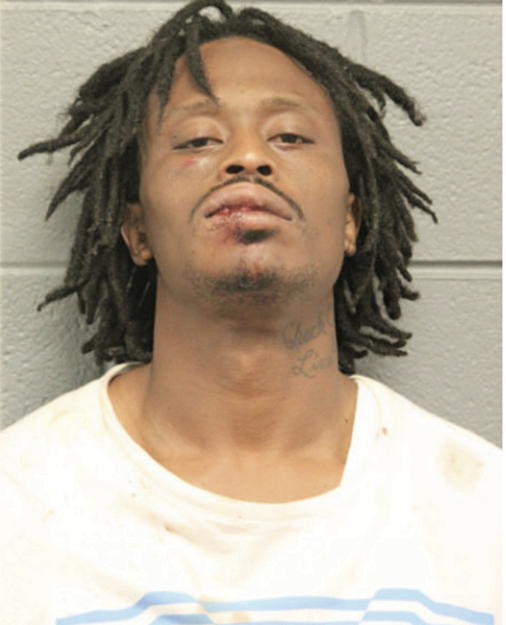 ROBERT E TOWNES, Cook County, Illinois