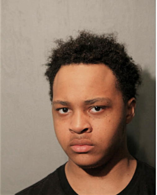 NATHAN K WRIGHT, Cook County, Illinois