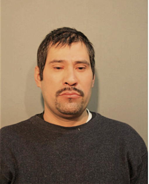 VICTOR M ALDAPE-MUNOZ, Cook County, Illinois