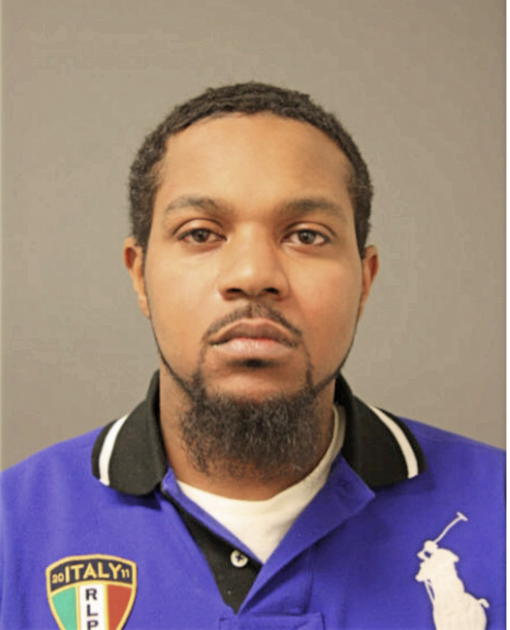 RANDY L ANDERSON, Cook County, Illinois