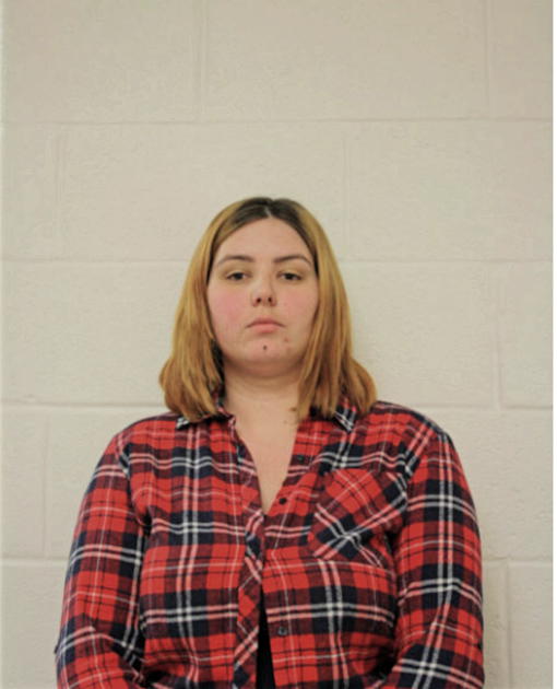 BRITTANY L ANTONSEN, Cook County, Illinois