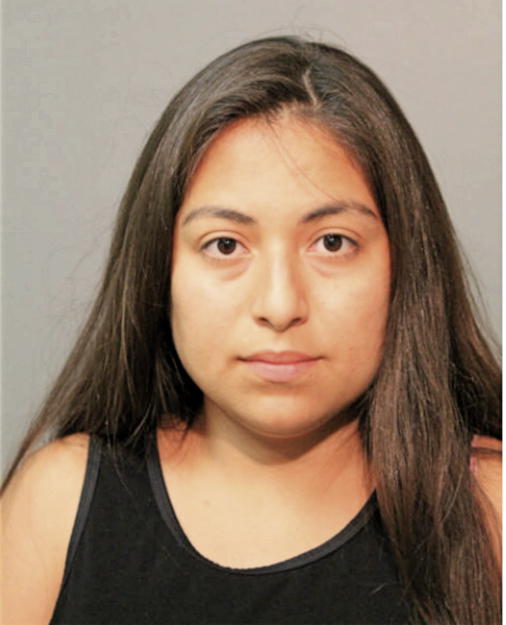 ANA ROSA ARREGUN, Cook County, Illinois