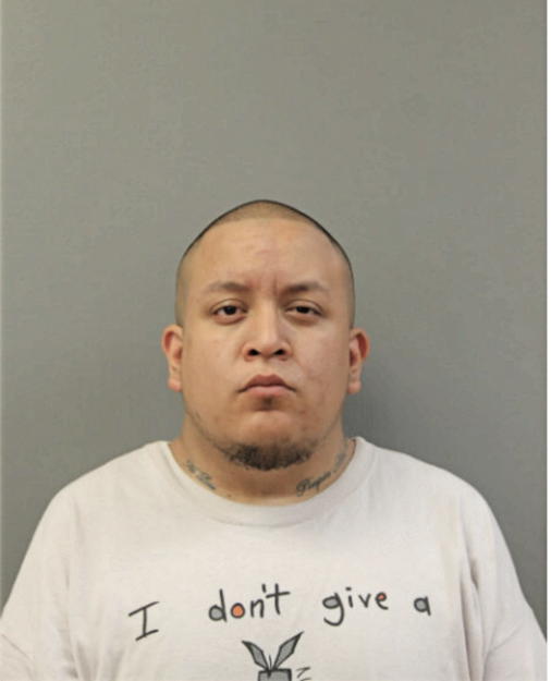 MICHAEL J BUCIO, Cook County, Illinois