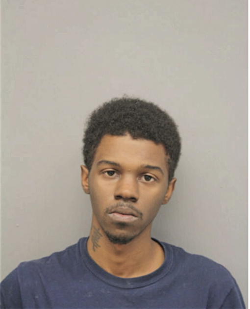 DAMION T BUTLER-FLETCHER, Cook County, Illinois