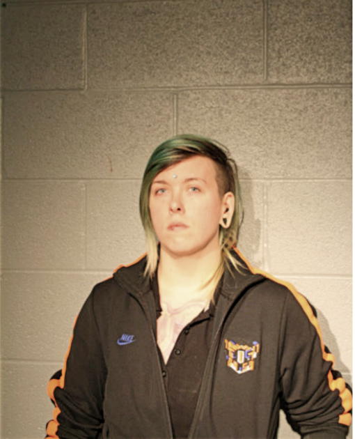 NICOLE K CAMPBELL, Cook County, Illinois