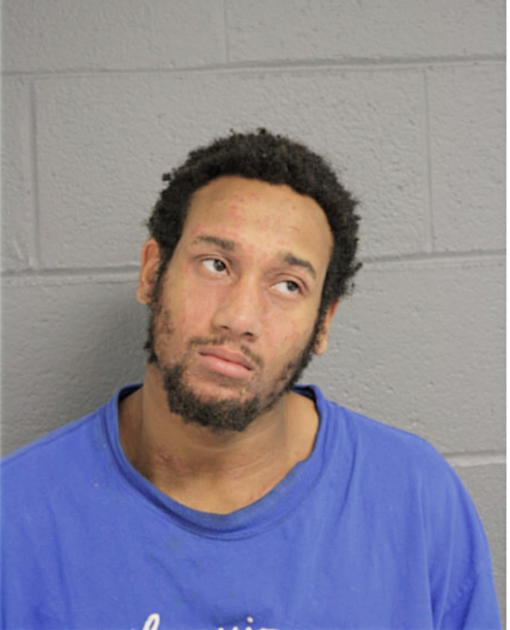 BRANDON L COLEMAN, Cook County, Illinois