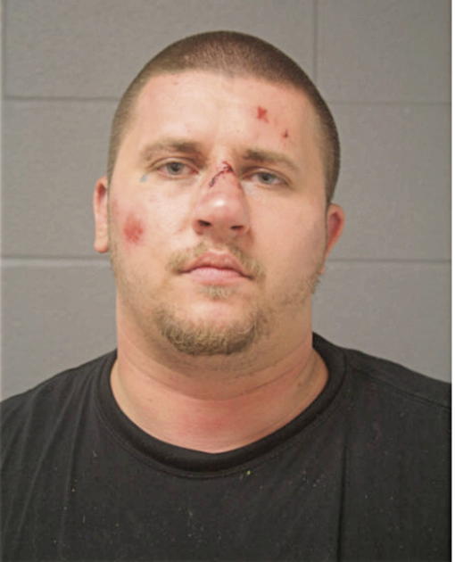 DANIEL J DICKMAN, Cook County, Illinois